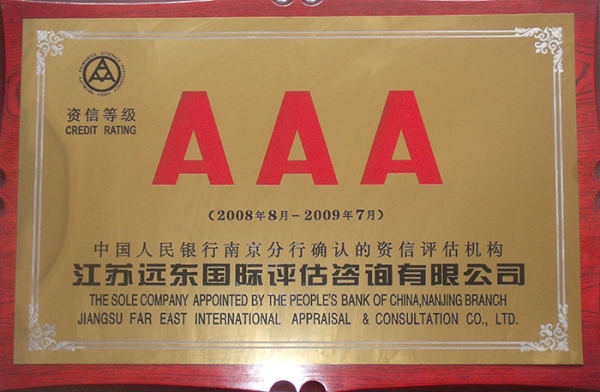 2008-2009 AAA資信等級